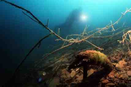 Stuibenf&auml;lle 01