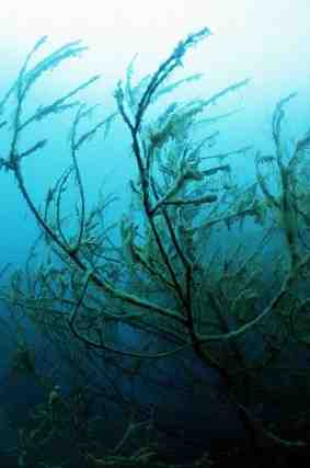 Stuibenf&auml;lle 01