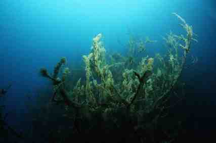 Stuibenf&auml;lle 01