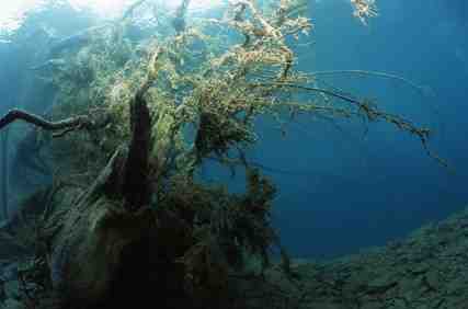 Stuibenf&auml;lle 01