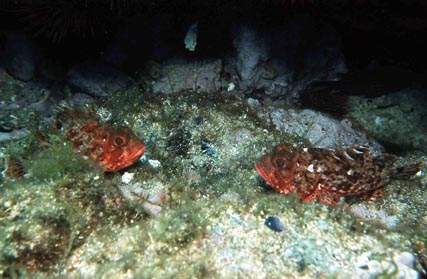 Stuibenf&auml;lle 01