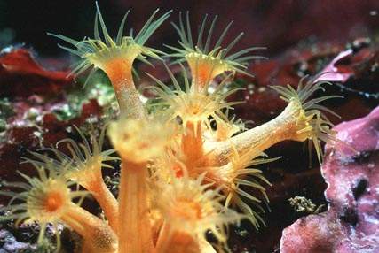 Stuibenf&auml;lle 01