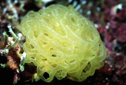 Stuibenf&auml;lle 01