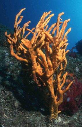 Stuibenf&auml;lle 01