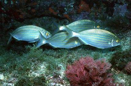 Stuibenf&auml;lle 01