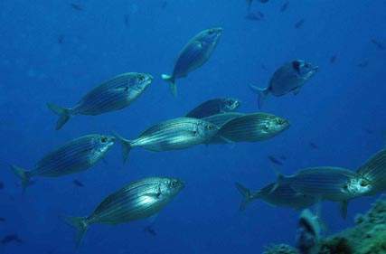 Stuibenf&auml;lle 01