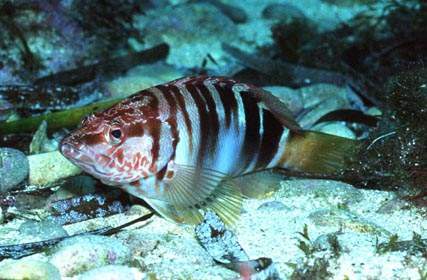 Stuibenf&auml;lle 01