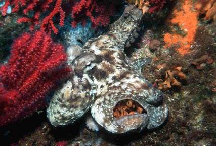 Stuibenf&auml;lle 01