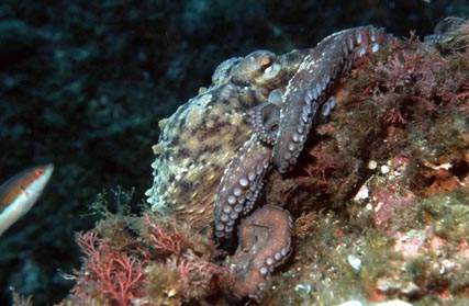 Stuibenf&auml;lle 01