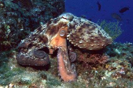 Stuibenf&auml;lle 01