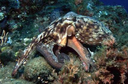 Stuibenf&auml;lle 01