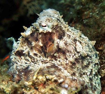 Stuibenf&auml;lle 01