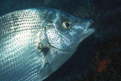 Stuibenf&auml;lle 01