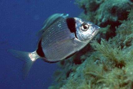 Stuibenf&auml;lle 01