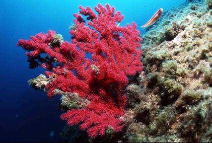 Stuibenf&auml;lle 01