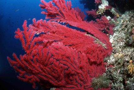 Stuibenf&auml;lle 01