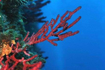 Stuibenf&auml;lle 01