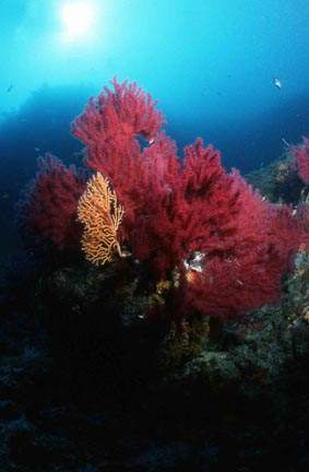 Stuibenf&auml;lle 01