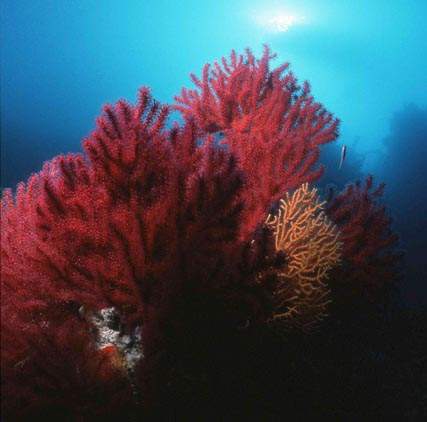 Stuibenf&auml;lle 01