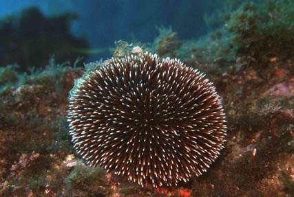 Stuibenf&auml;lle 01