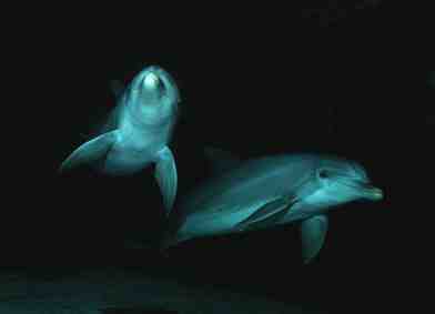 Stuibenf&auml;lle 01