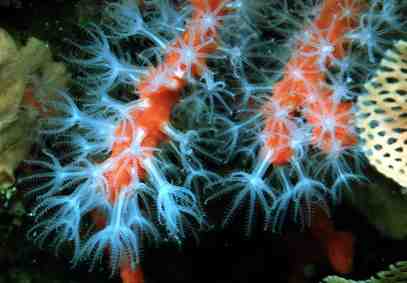 Stuibenf&auml;lle 01