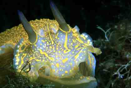 Stuibenf&auml;lle 01