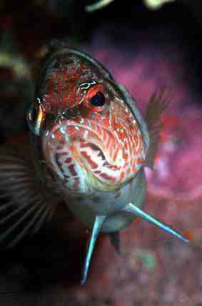 Stuibenf&auml;lle 01