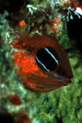 Stuibenf&auml;lle 01