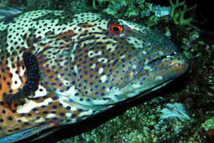 Stuibenf&auml;lle 01