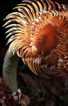 Stuibenf&auml;lle 01