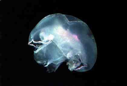 Stuibenf&auml;lle 01