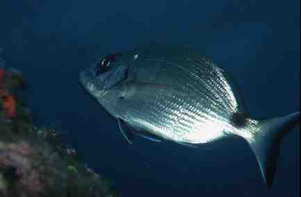 Stuibenf&auml;lle 01