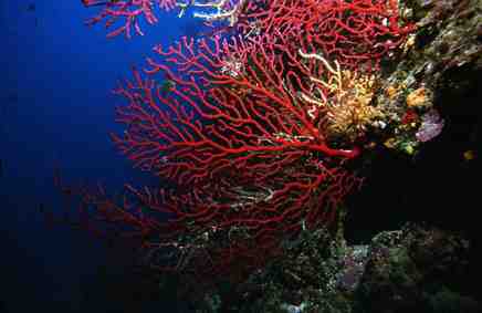 Stuibenf&auml;lle 01