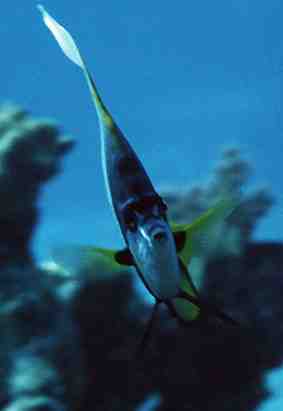 Stuibenf&auml;lle 01