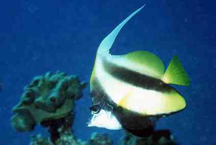 Stuibenf&auml;lle 01