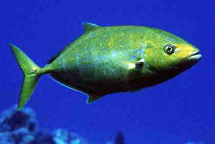 Stuibenf&auml;lle 01