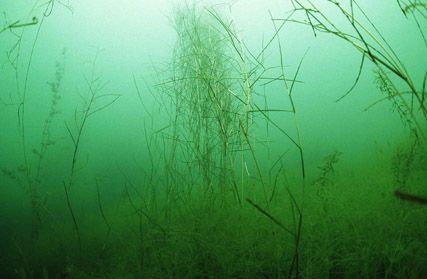 Stuibenf&auml;lle 01