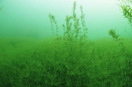 Stuibenf&auml;lle 01