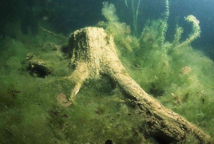 Stuibenf&auml;lle 01