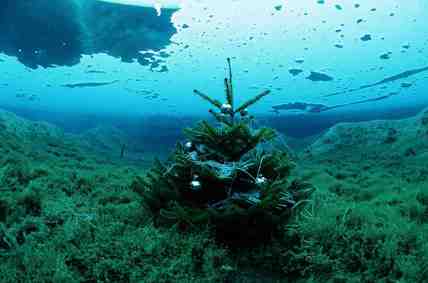 Stuibenf&auml;lle 01