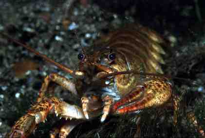 Stuibenf&auml;lle 01