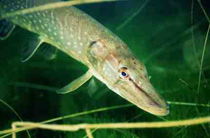 Stuibenf&auml;lle 01