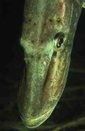 Stuibenf&auml;lle 01