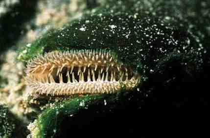 Stuibenf&auml;lle 01