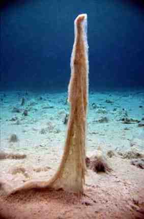 Stuibenf&auml;lle 01