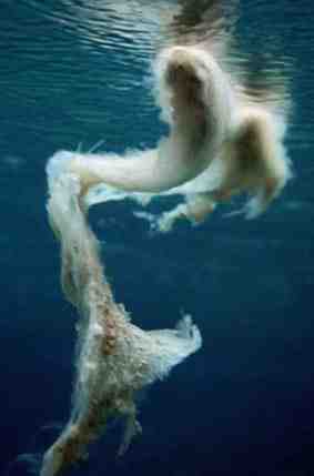 Stuibenf&auml;lle 01