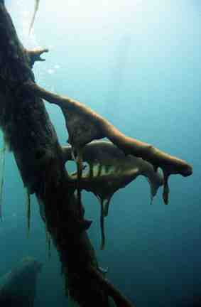 Stuibenf&auml;lle 01