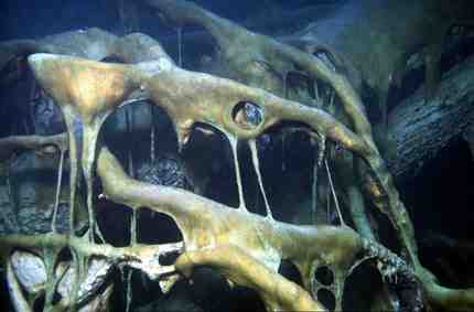 Stuibenf&auml;lle 01