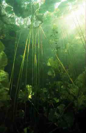 Stuibenf&auml;lle 01